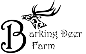 BoxEleven.logo1.png