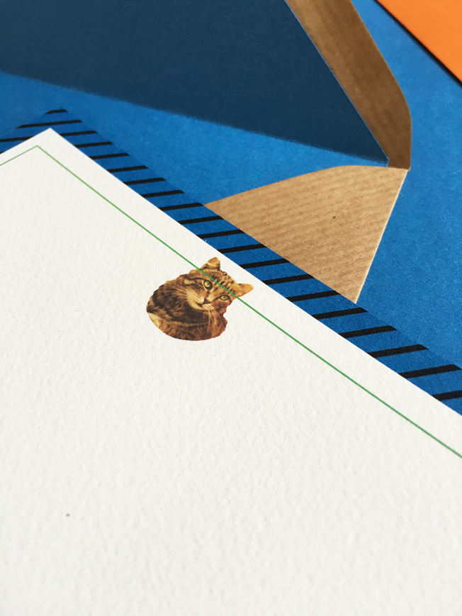 Cards with stripes and tabby cat.jpg