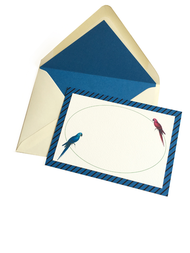 Writing cards with parrots.jpg