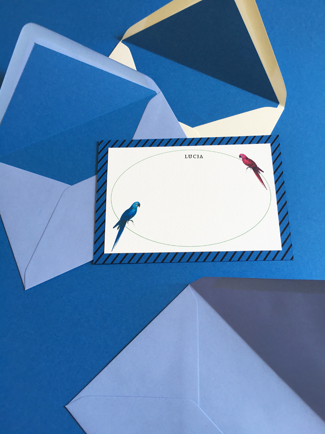 Correspondence cards with parrots.jpg