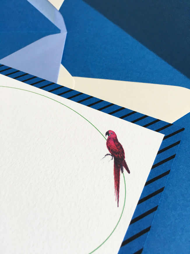 Parrots motif writing cards.jpg