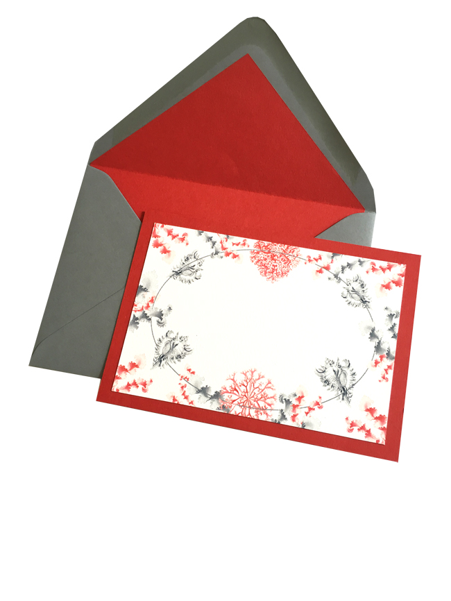 Corals and algae printed cards.jpg