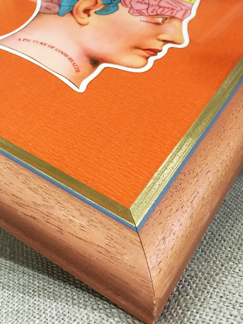 Phrenology prints frame detail.jpg