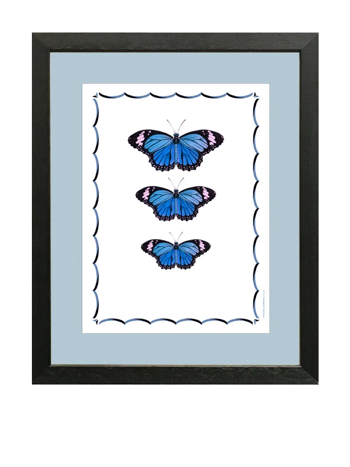 Gift vouchers that can be framed.jpg
