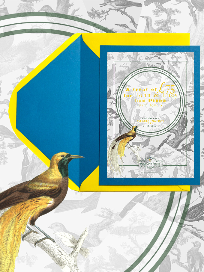Gift voucher with birds print.jpg