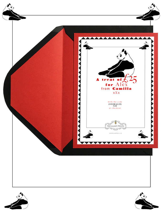 Gift vouchers with panda print.jpg