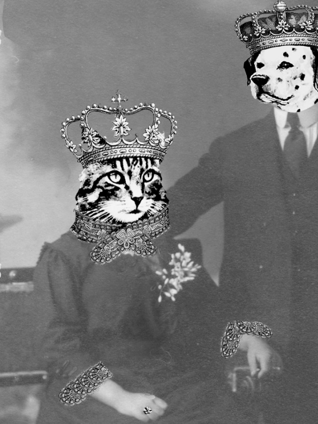 Victorians cat and dog print detail.jpg