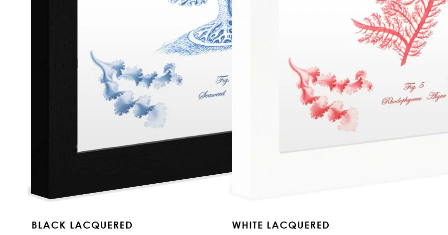 lacquered finished print frames.jpg