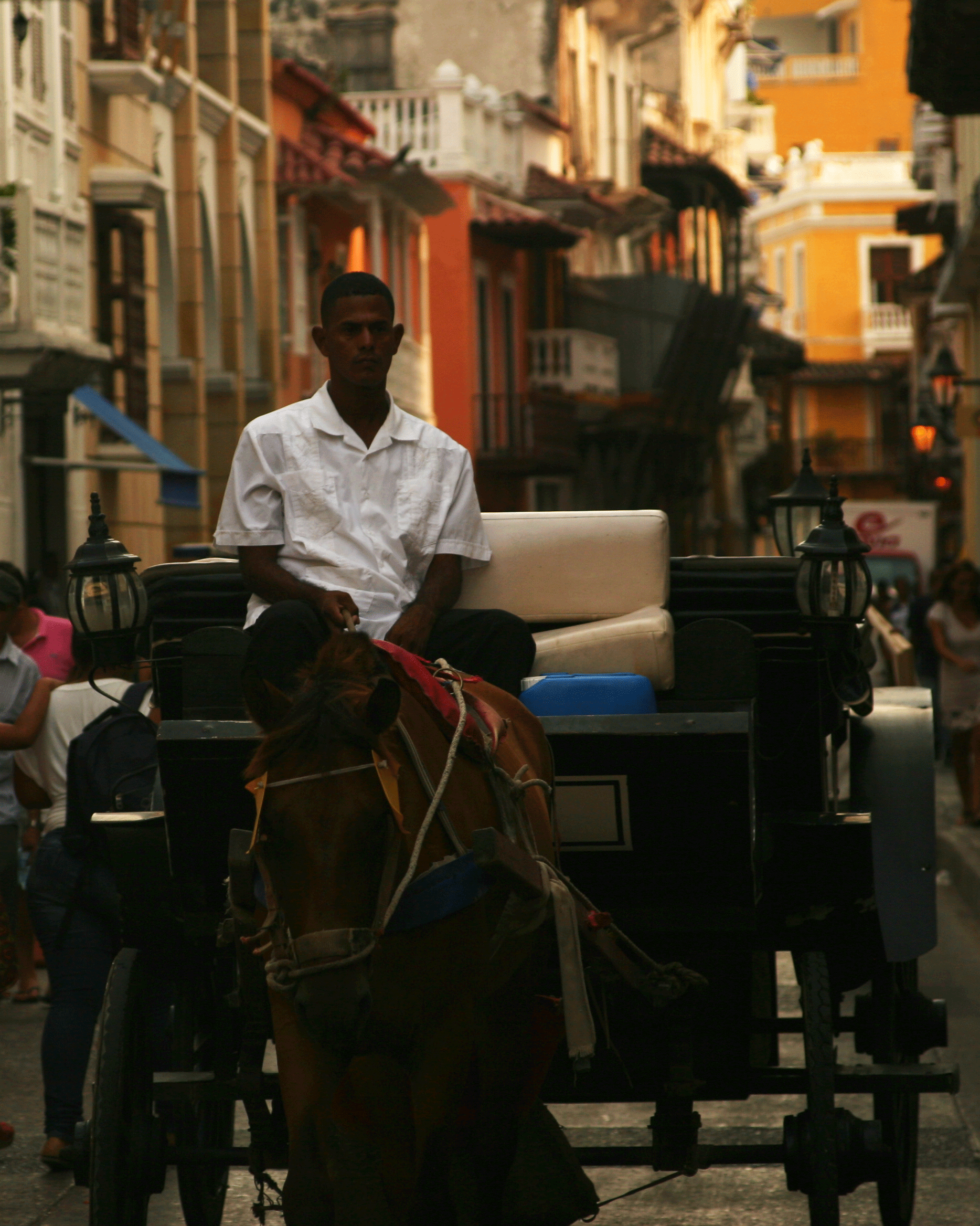 Horse.png