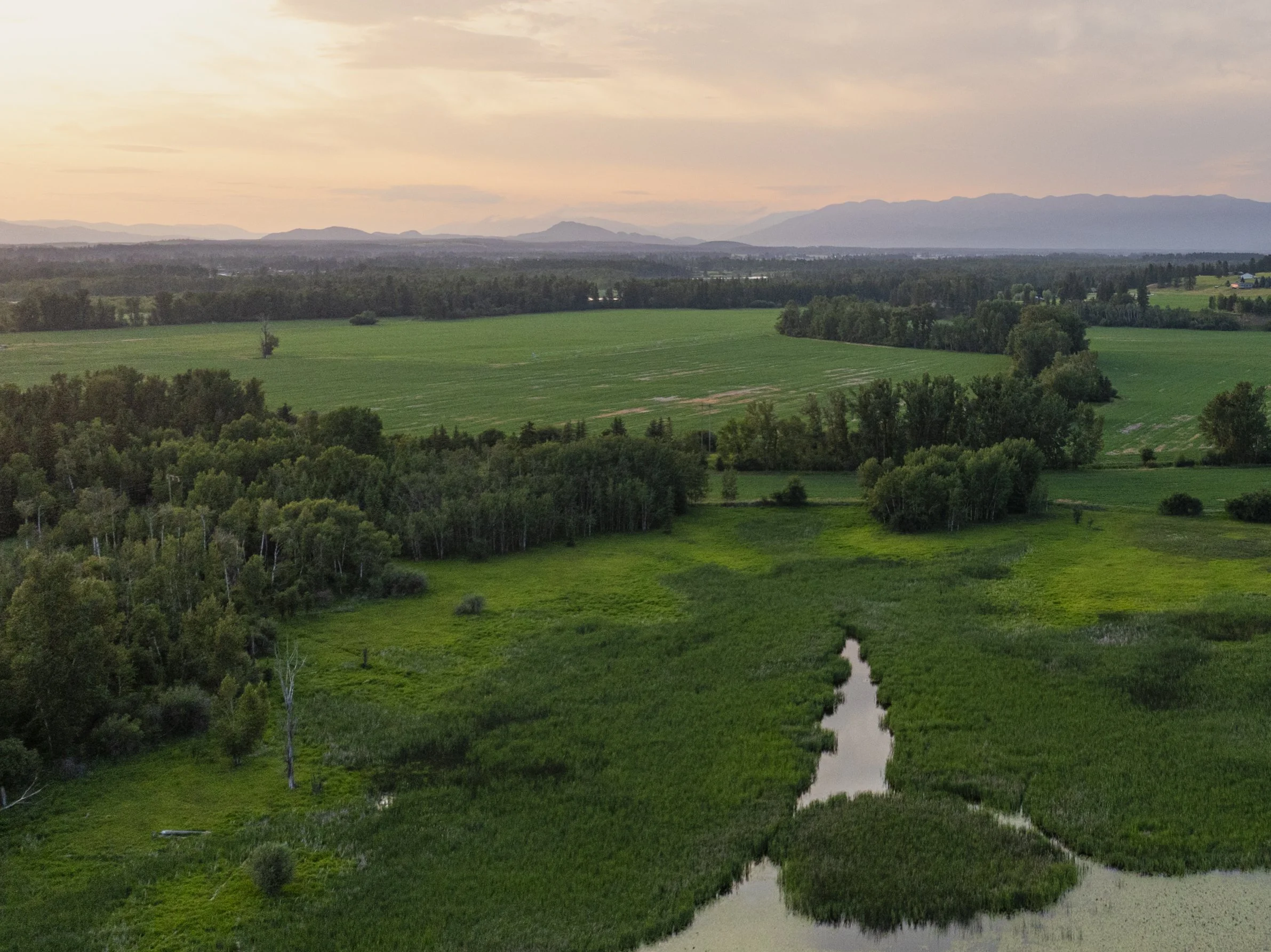 DJI_0742.jpg