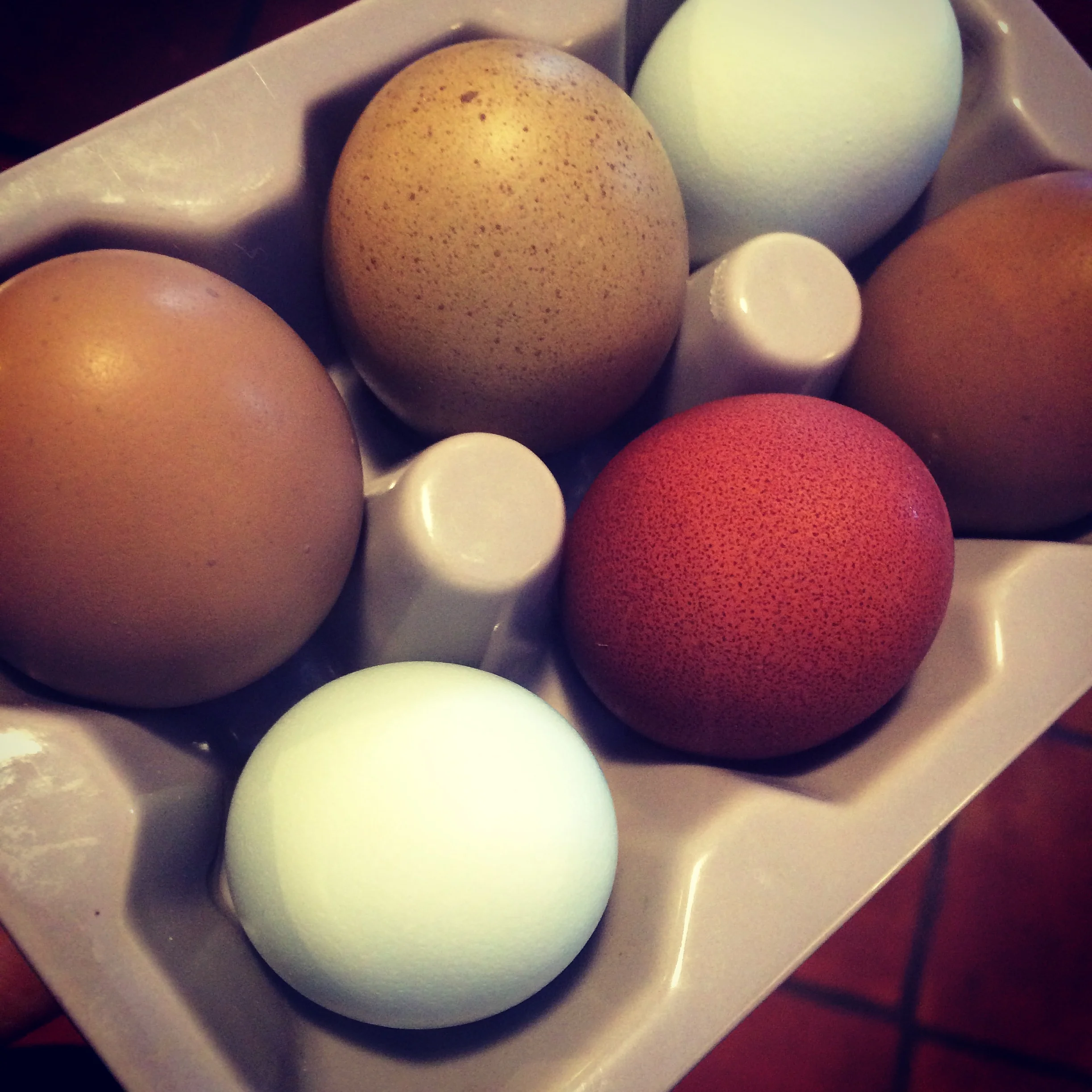 Eggs.jpg