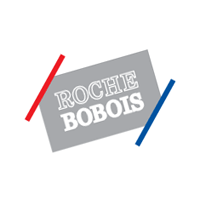 Roche_Bobois alt logo color.png