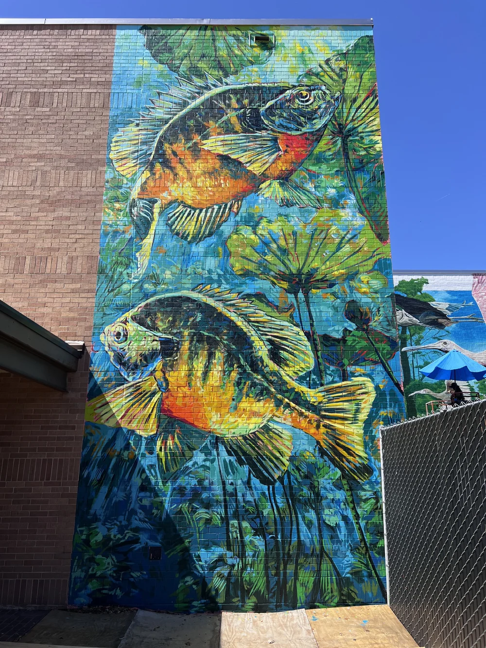 MURALS — Toni Ardizzone