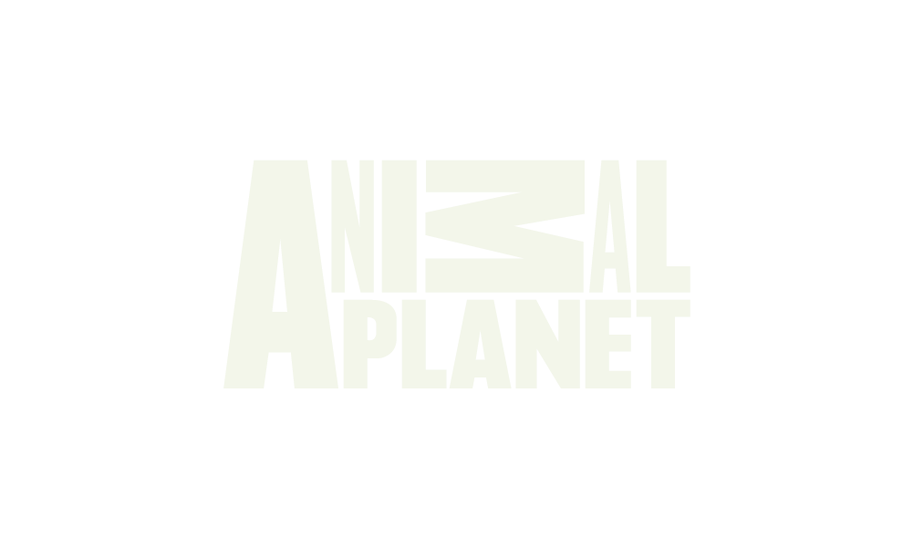 animalplanet.png