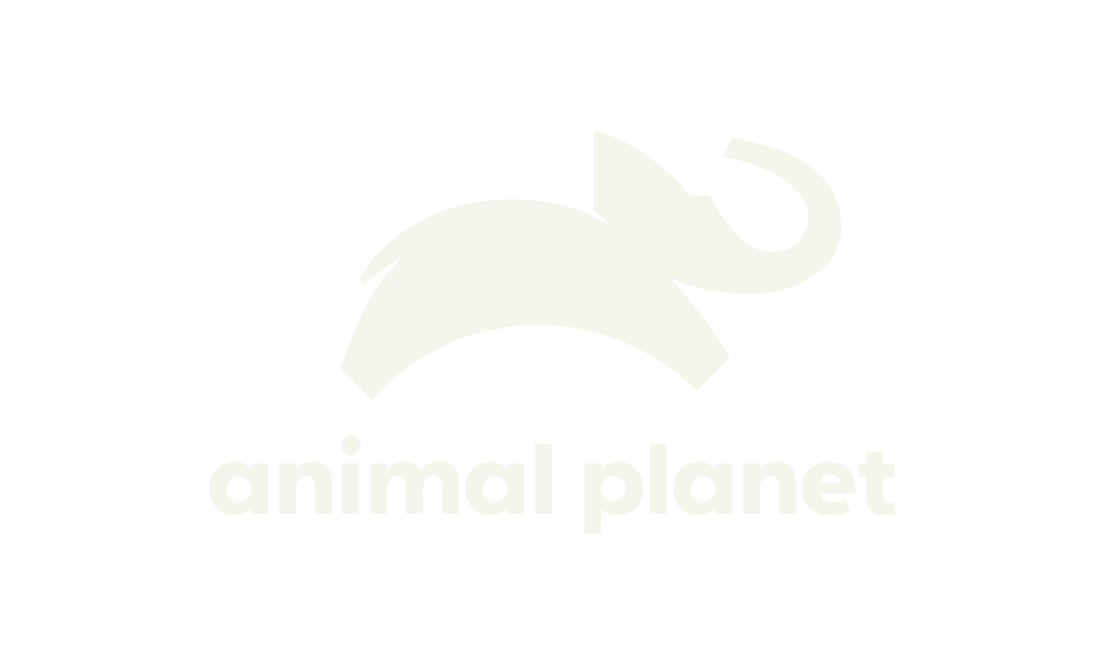animalplanet.png