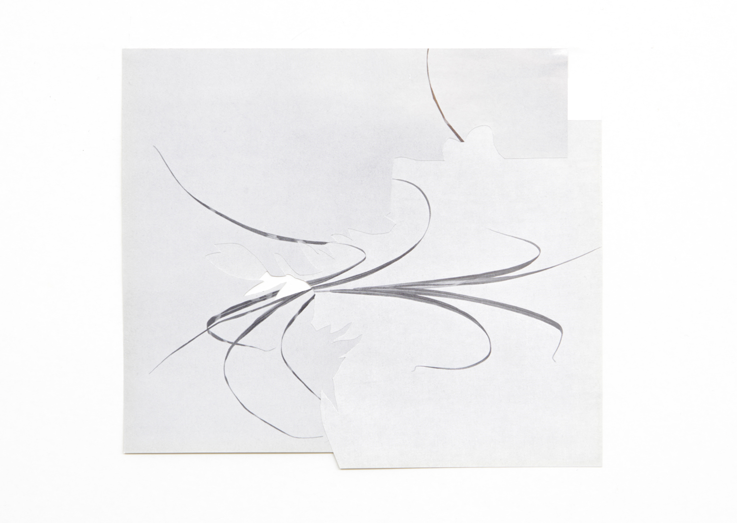   Shape/ gregale , 2014, paper, glue, 