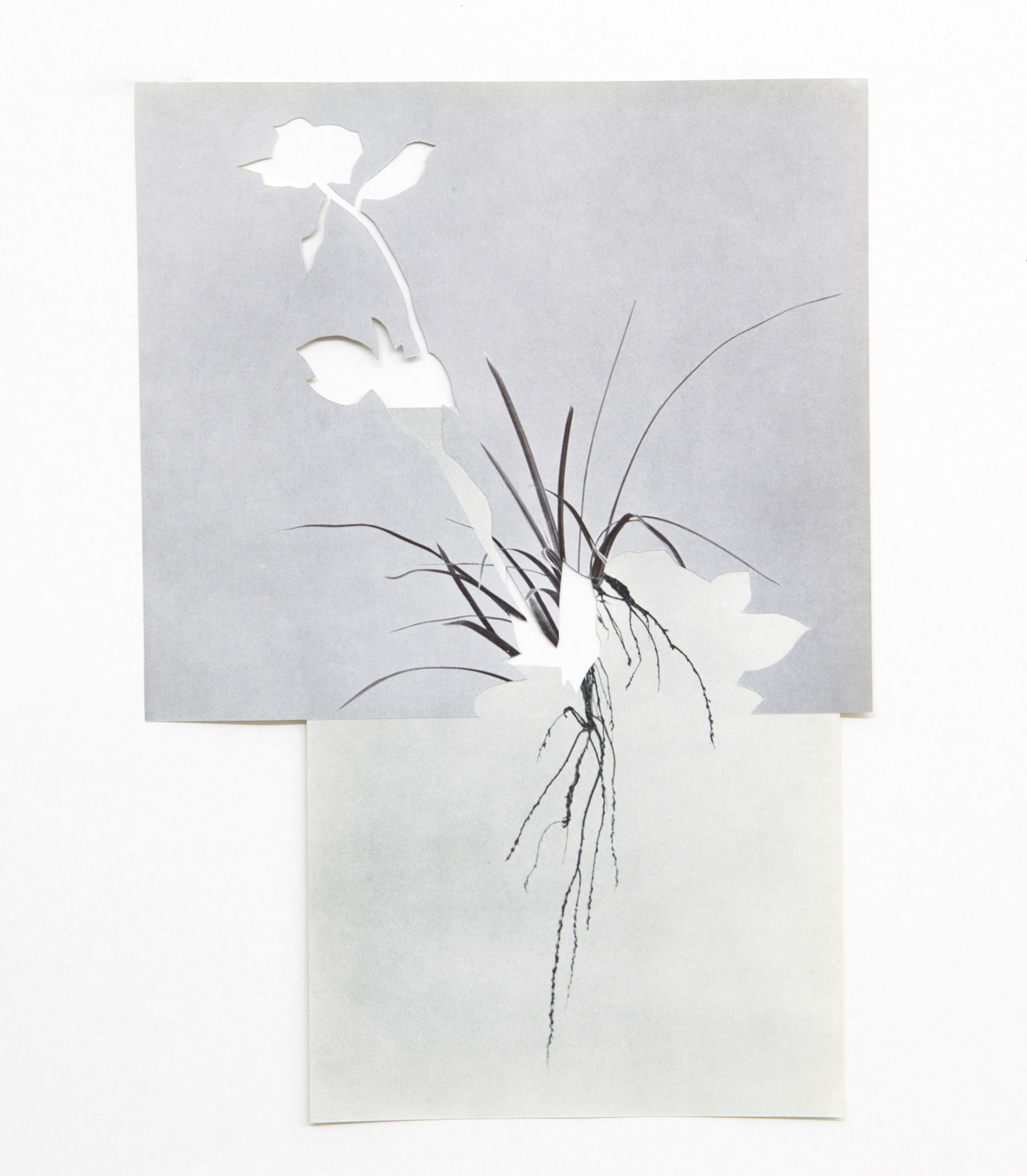   Shape/ khamsin , 2014, paper, glue, 