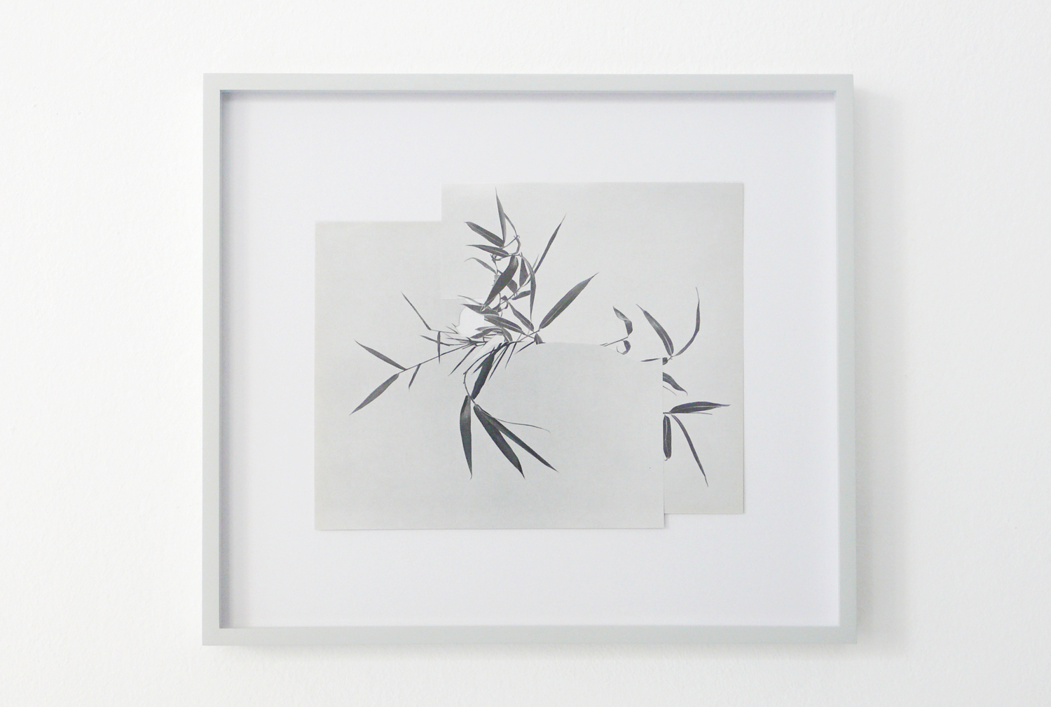  Shape/ khazri,  2014, paper, glue, 26,3 x 30cm 