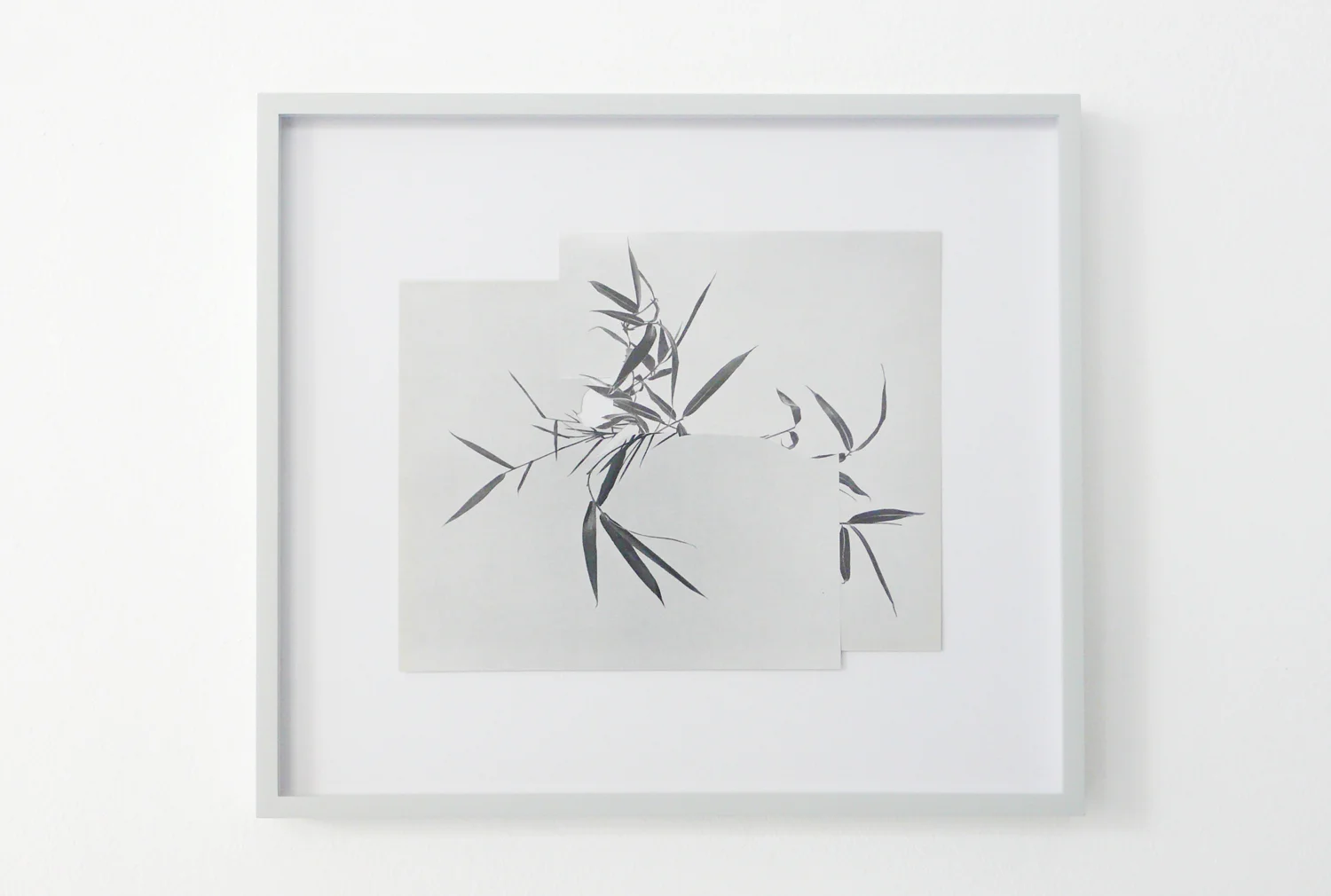 Shape/ khazri, 2014, paper, glue, 26,3 x 30cm