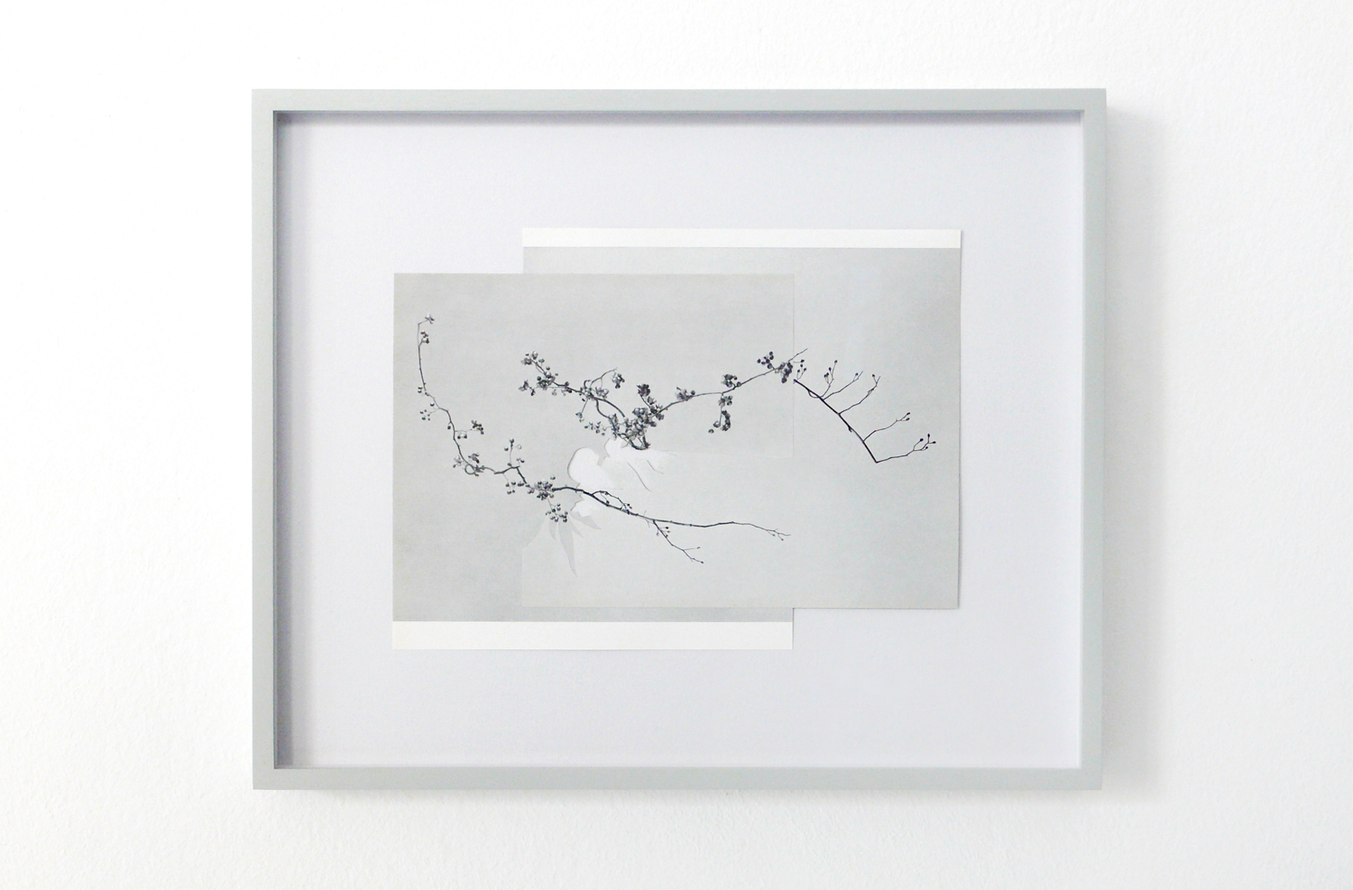   Shape/ cers , 2014, paper, glue, 25,5 x 31cm 