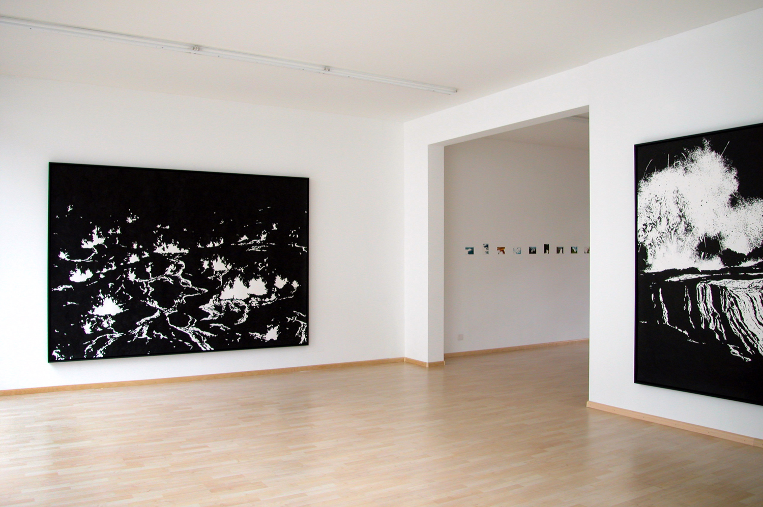   ground ll, ground l,  2004, ink on paper, 196 x 276cm  solid tremors, 2004, Galerie Friedrich, Basel 