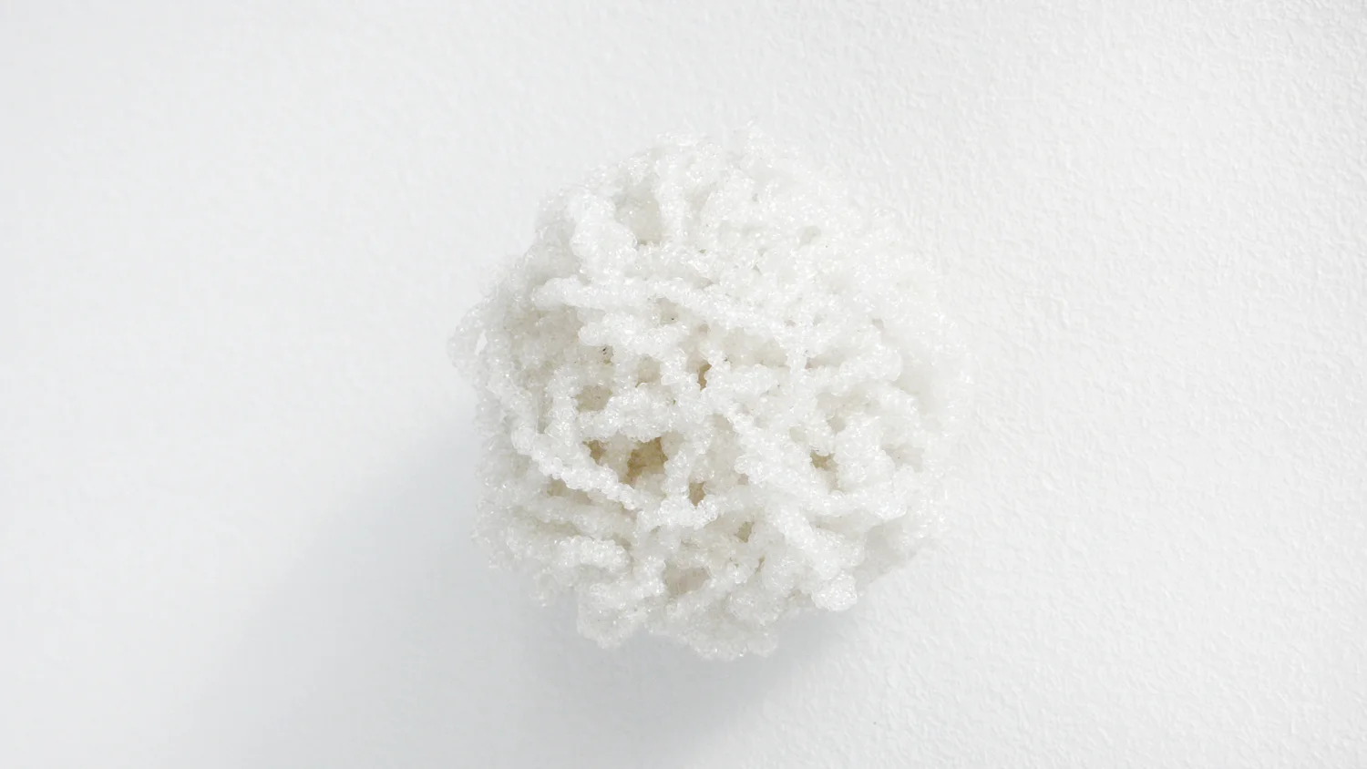 chlumpä , 2006, nylon, diameter 5cm stray currents, 2011, Towner, Eastbourne