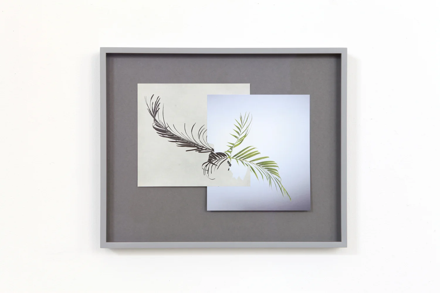 Shape/ pali, 2014, paper, glue, 26,6 x 32,8cm