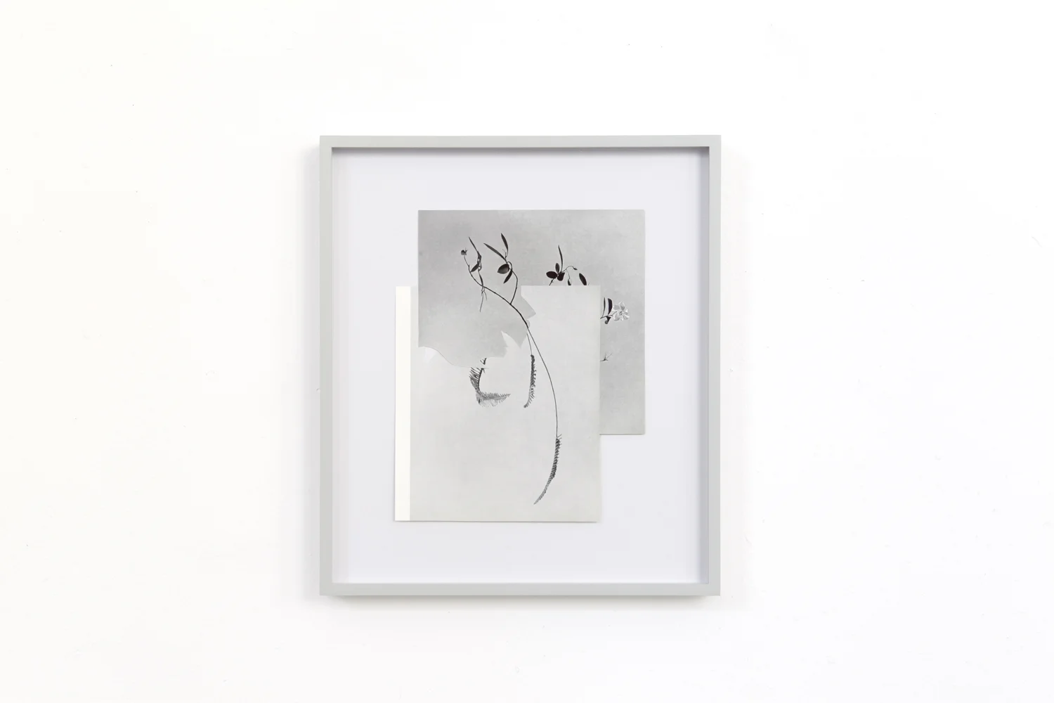 Shape/ vardarac , 2014, paper, glue,