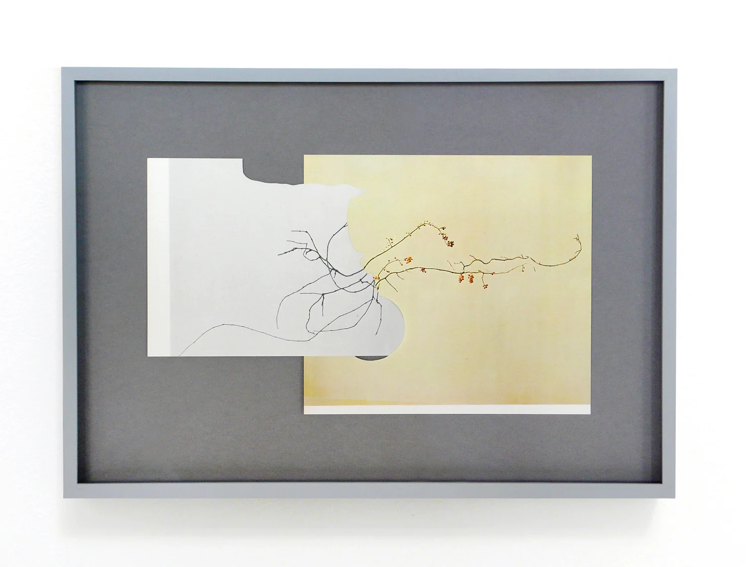 Shape/ negeq , 2014, paper, glue, 25,4 x 36,5cm