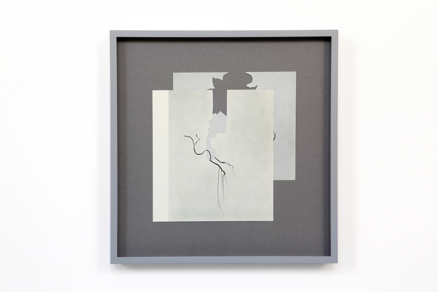   Shape/ taku , 2014, paper, glue, 27,7 x 26,7cm 