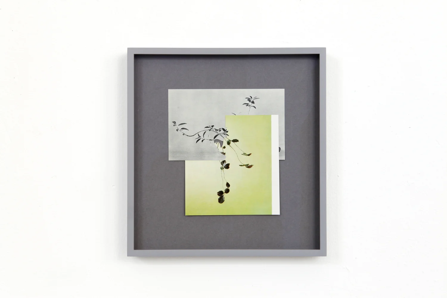 Shape/ alize , 2014, paper, glue,