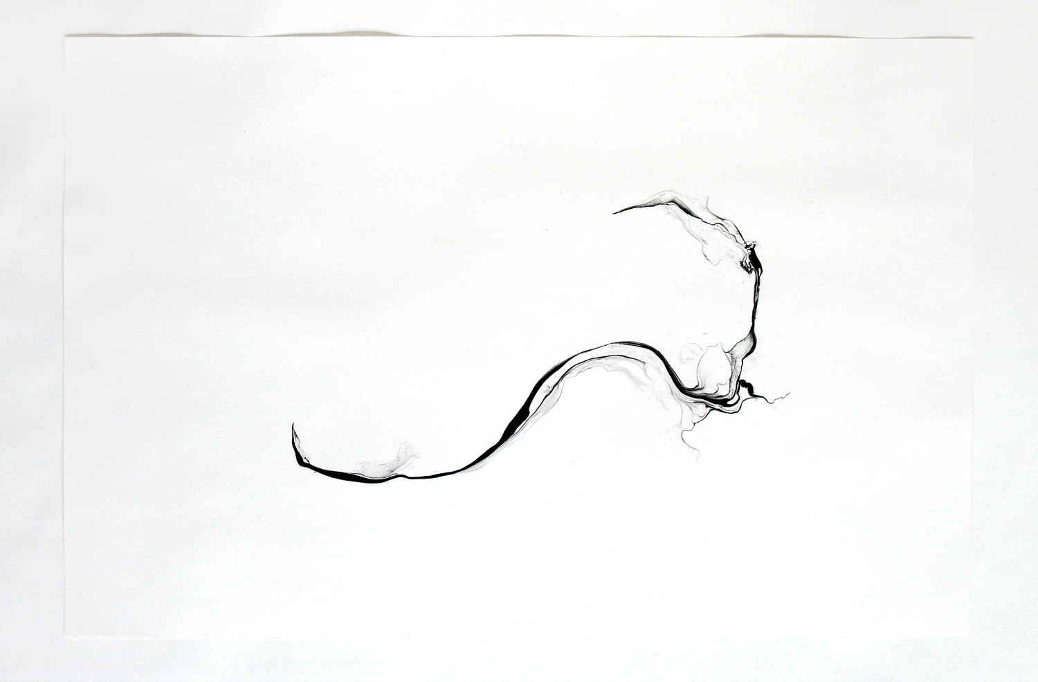   Turbulences/ phuyu , 2014, ink on paper, 62,5 x 92cm 