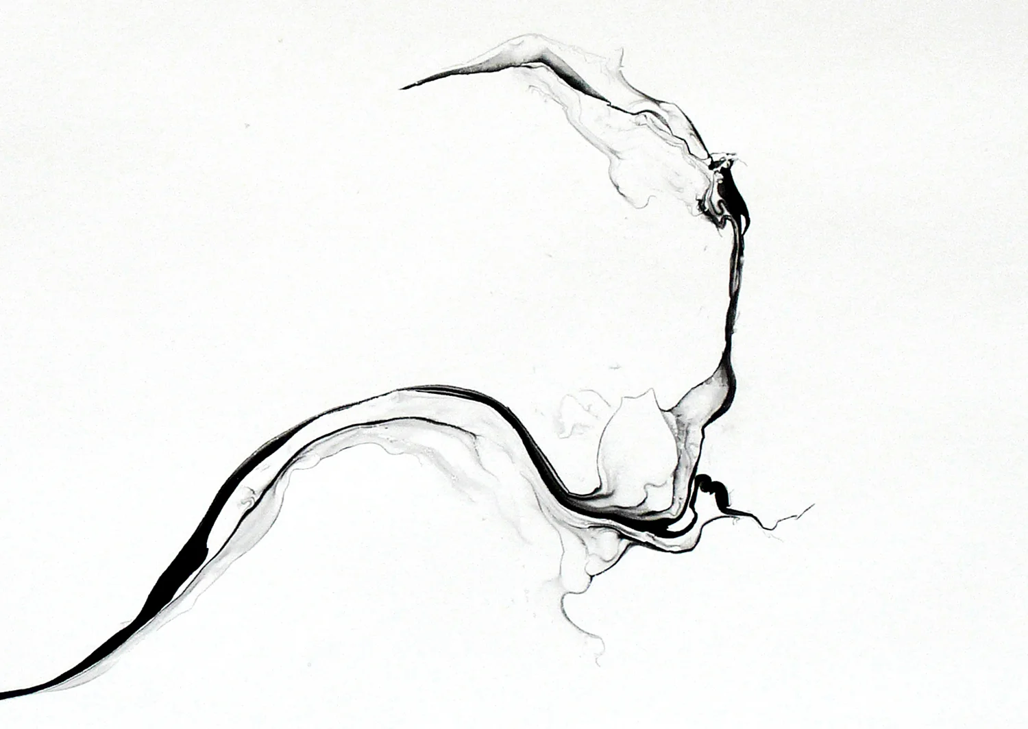 Turbulences/ phuyu (close-up), 2014, ink on paper, 62,5 x 92cm