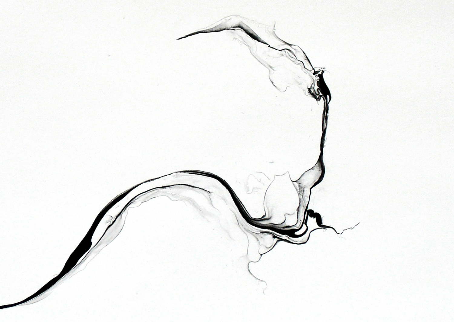   Turbulences/ phuyu  (close-up), 2014, ink on paper, 62,5 x 92cm 