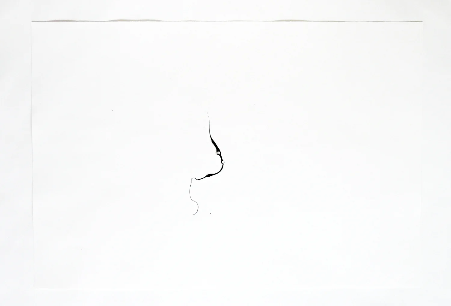 Turbulences/ vo'e , 2014, ink on paper, 62,5 x 92cm
