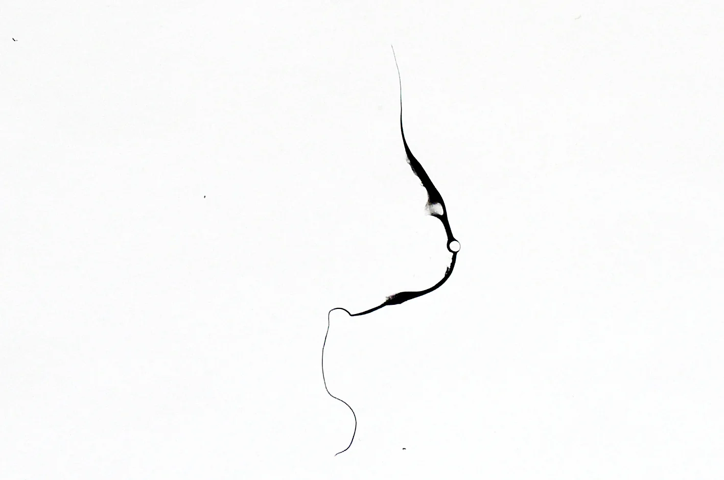 Turbulences/ vo'e (close-up), 2014, ink on paper, 62,5 x 92cm
