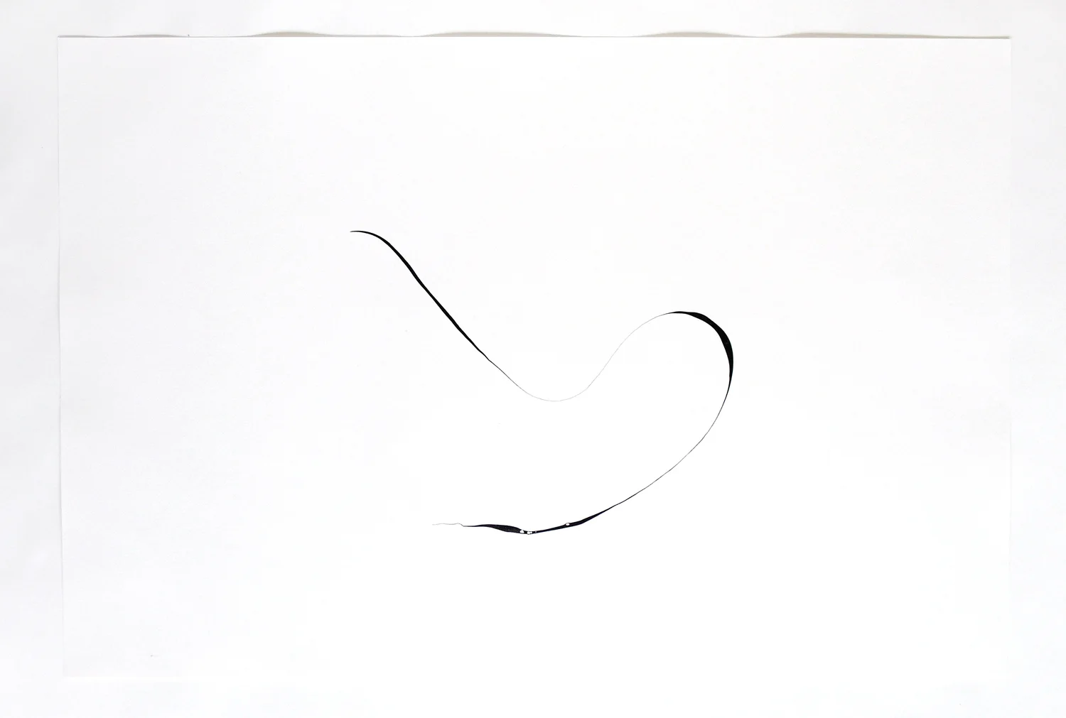 Turbulences/ qinaya , 2014, ink on paper, 62,5 x 92cm