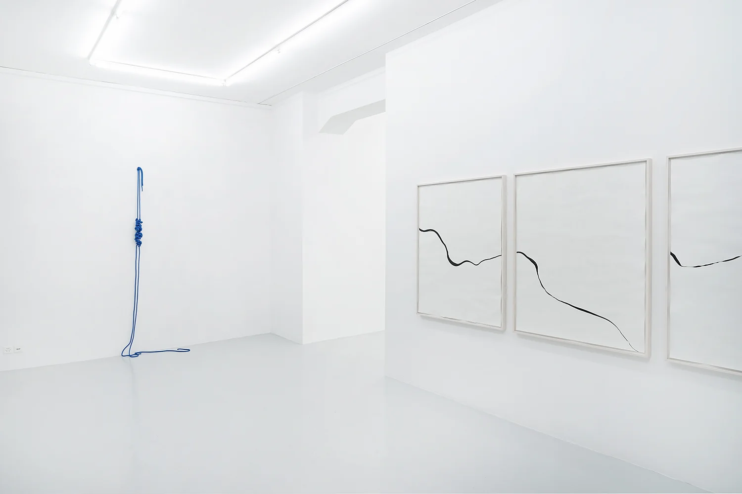 Trap/Cepo, 2018, rope, 246 x 76 x 33cm; Refractions/Laloran, 2018, ink on paper, 3 frames, each 125 x 99cm