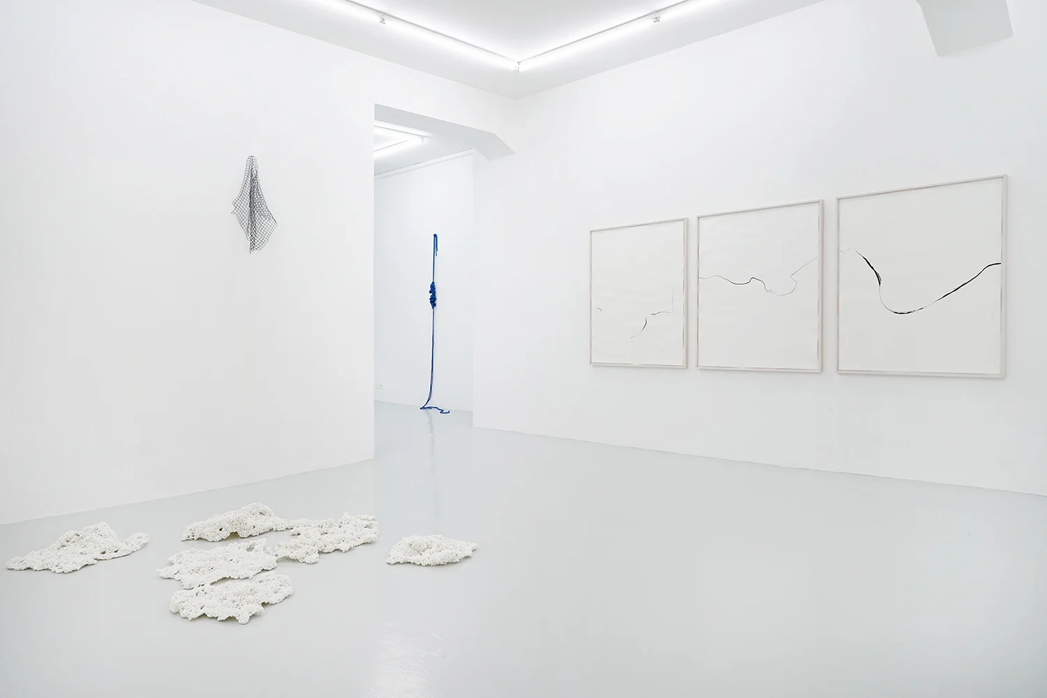 Storms, rope, size variable; Waveland/Ruitenet, 75 x 33 x 15cm; Trap/ Cepo, rope, 246 x 76 x 33cm; Refractions/ Luwimbi, ink on paper, 3 frames, each 125 x 99cm; all 2018