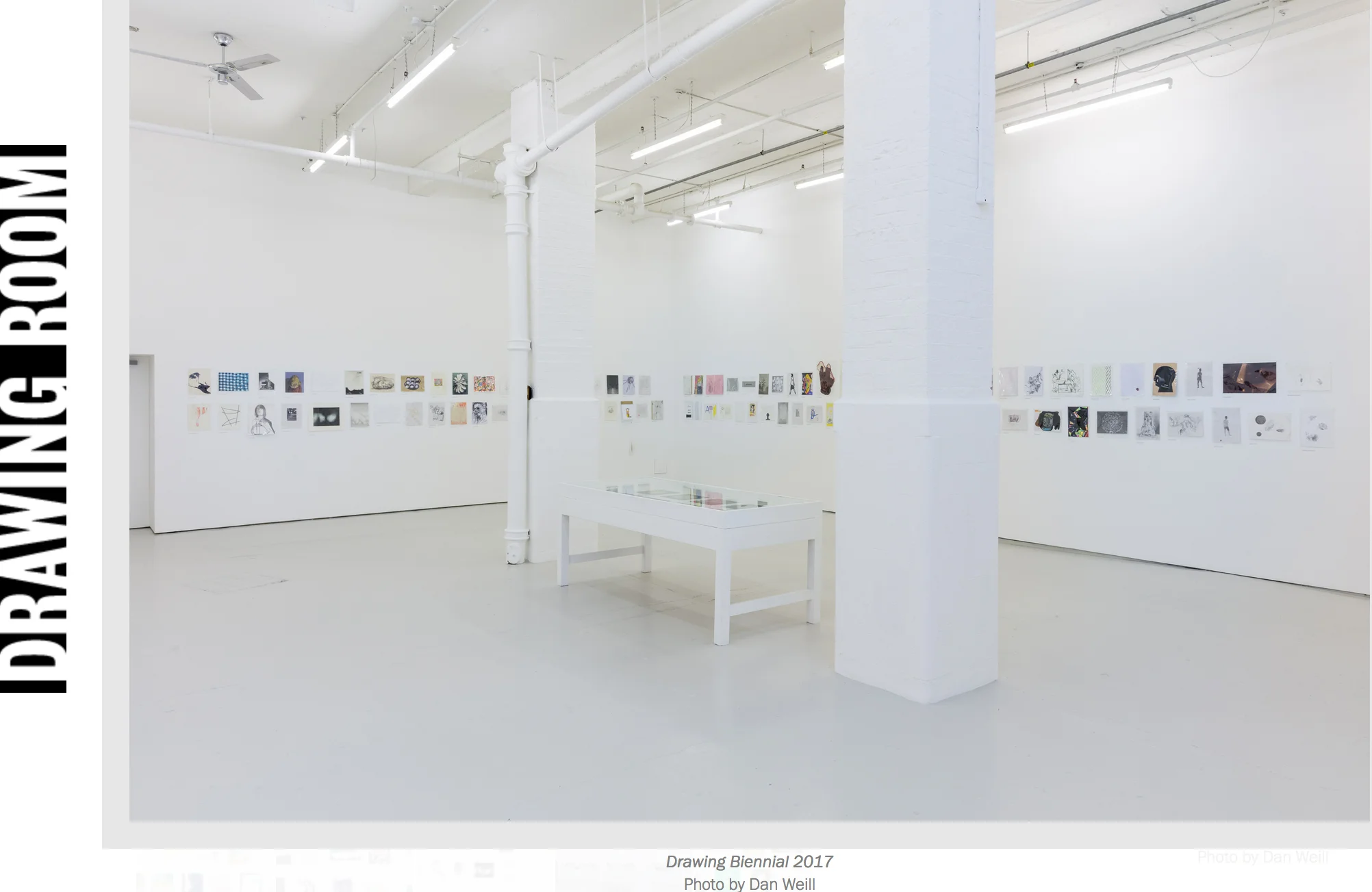 sq drawing biennial.jpg