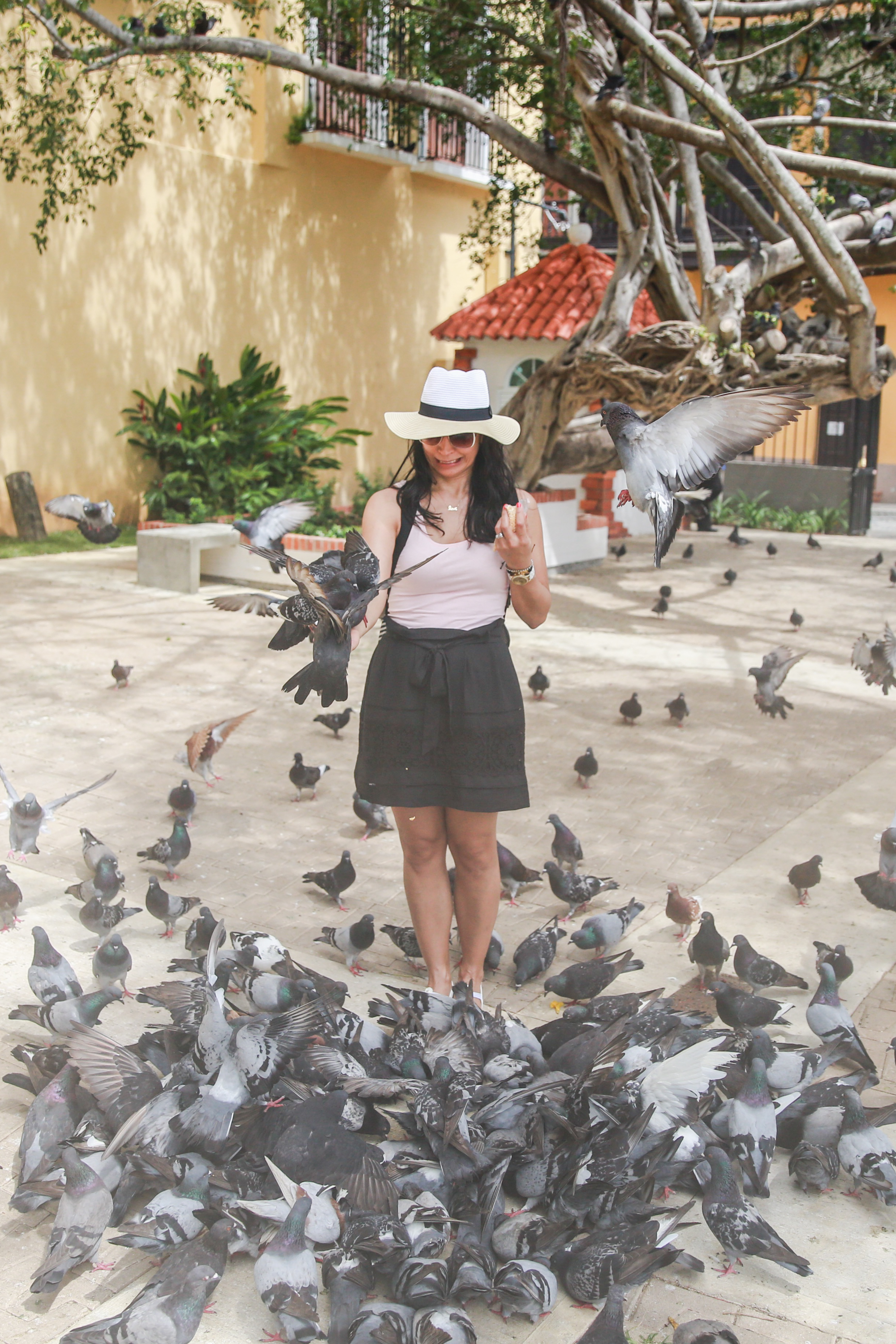 Parque de Las Palomas. (Pigeon's Park) If you're wondering, the answer is YES. Yes I was absolutely TERRIFIED doing this. But if you know me at all, I'm one to take my fears head on like a bull by the horns, and guess what? I survived. But all I could think about was one of the ratty little beasts pecking my eyeballs out. Ok, moving on.
