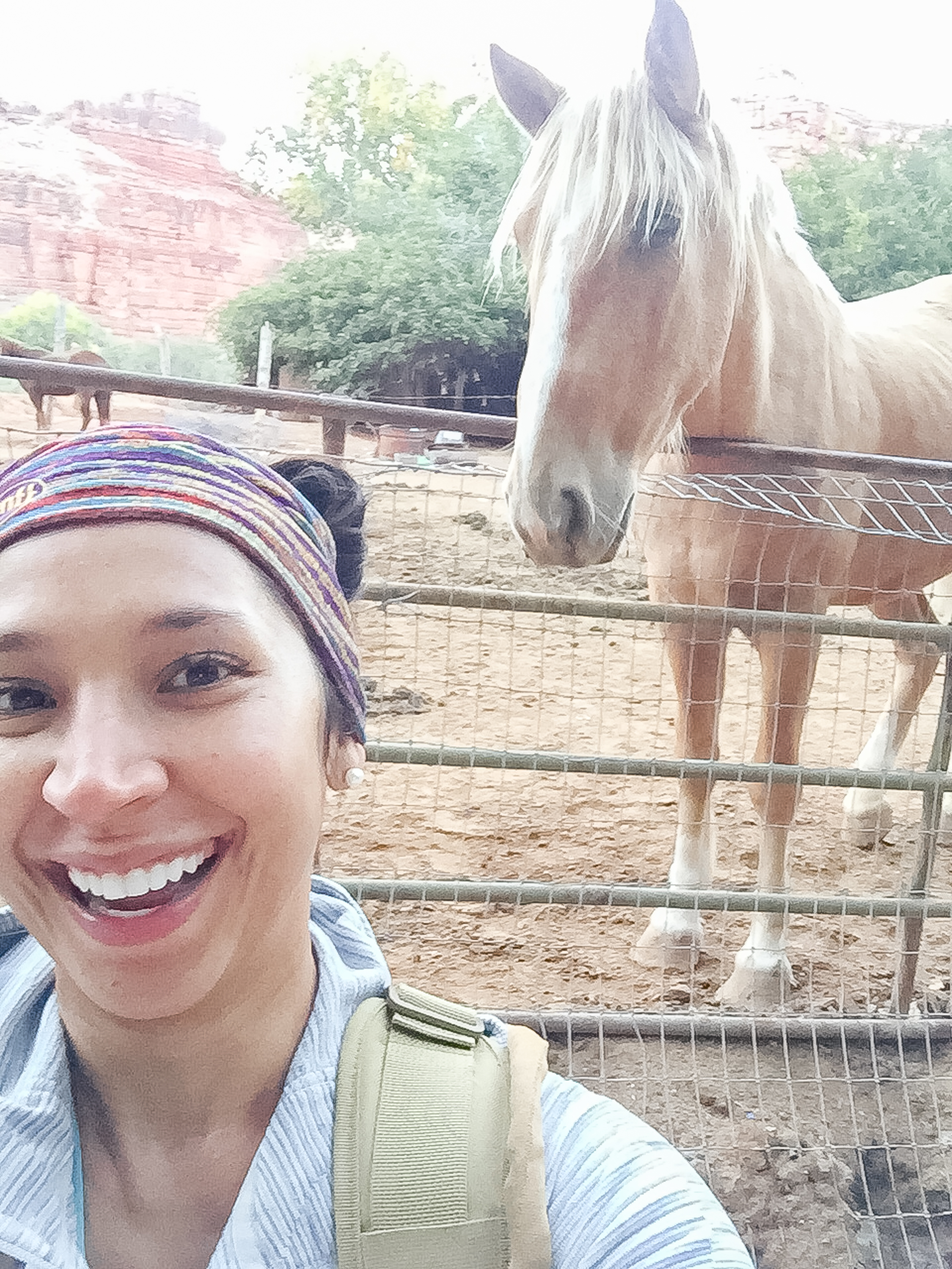 Sorry for the blurry selfie but JUST LOOK at this guy's fabulous mane!!! 