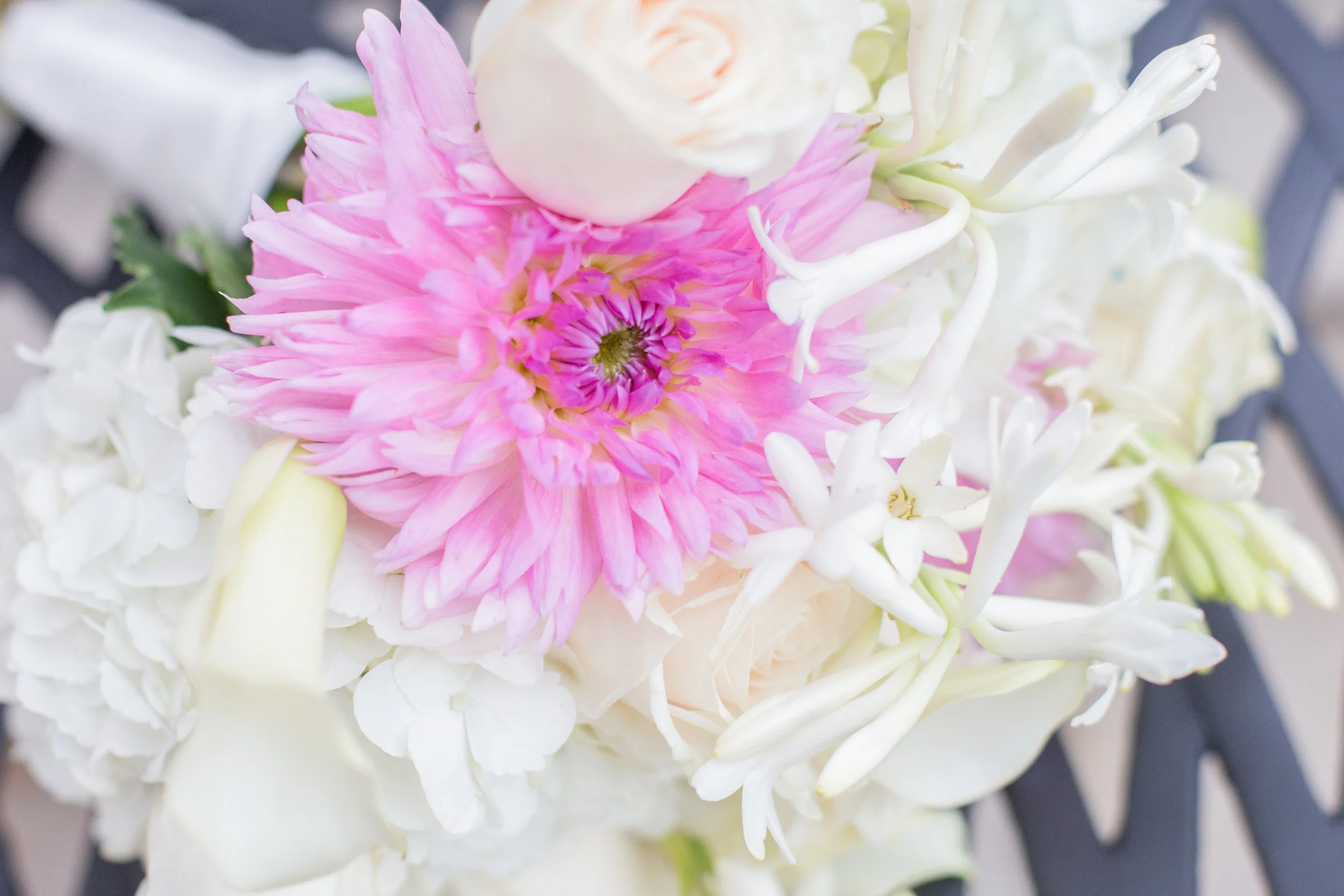 AnguilAndriacchiWedding-82.jpg