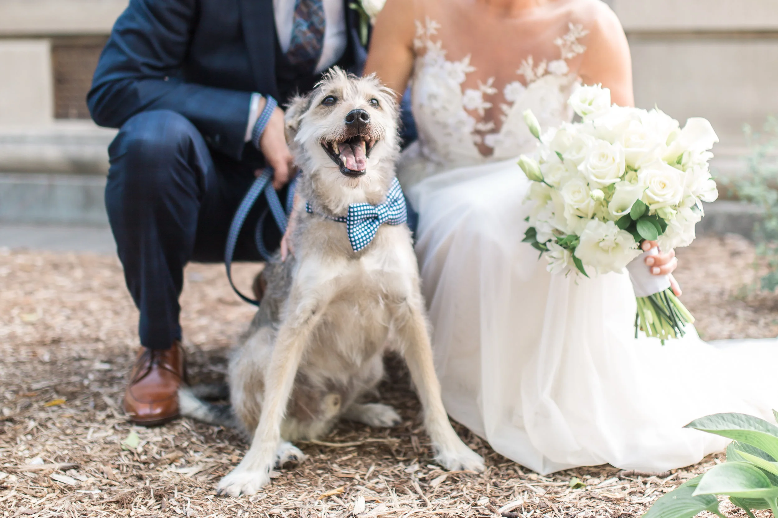 Historical Society Wedding - Patti + Todd