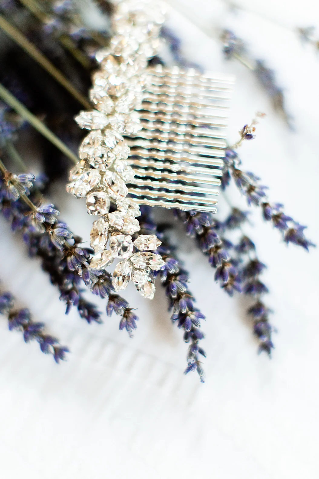 PRITZLAFF Wedding_0002.jpg