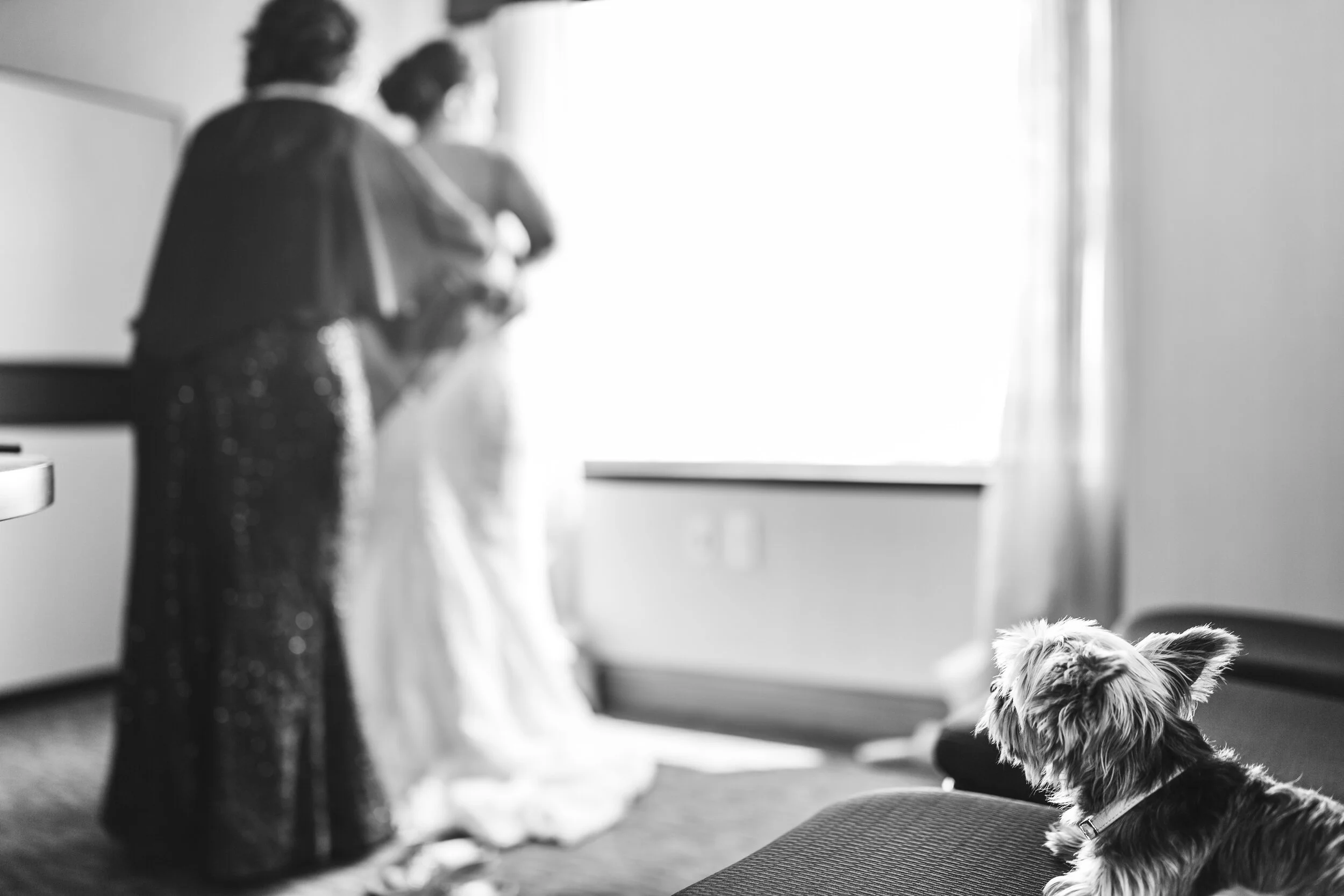 LLP BEST OF 2019-142.jpg