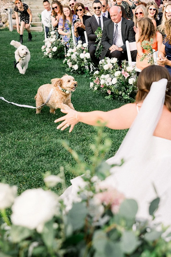 Lottie Lillian Weddings 2024-314.jpg