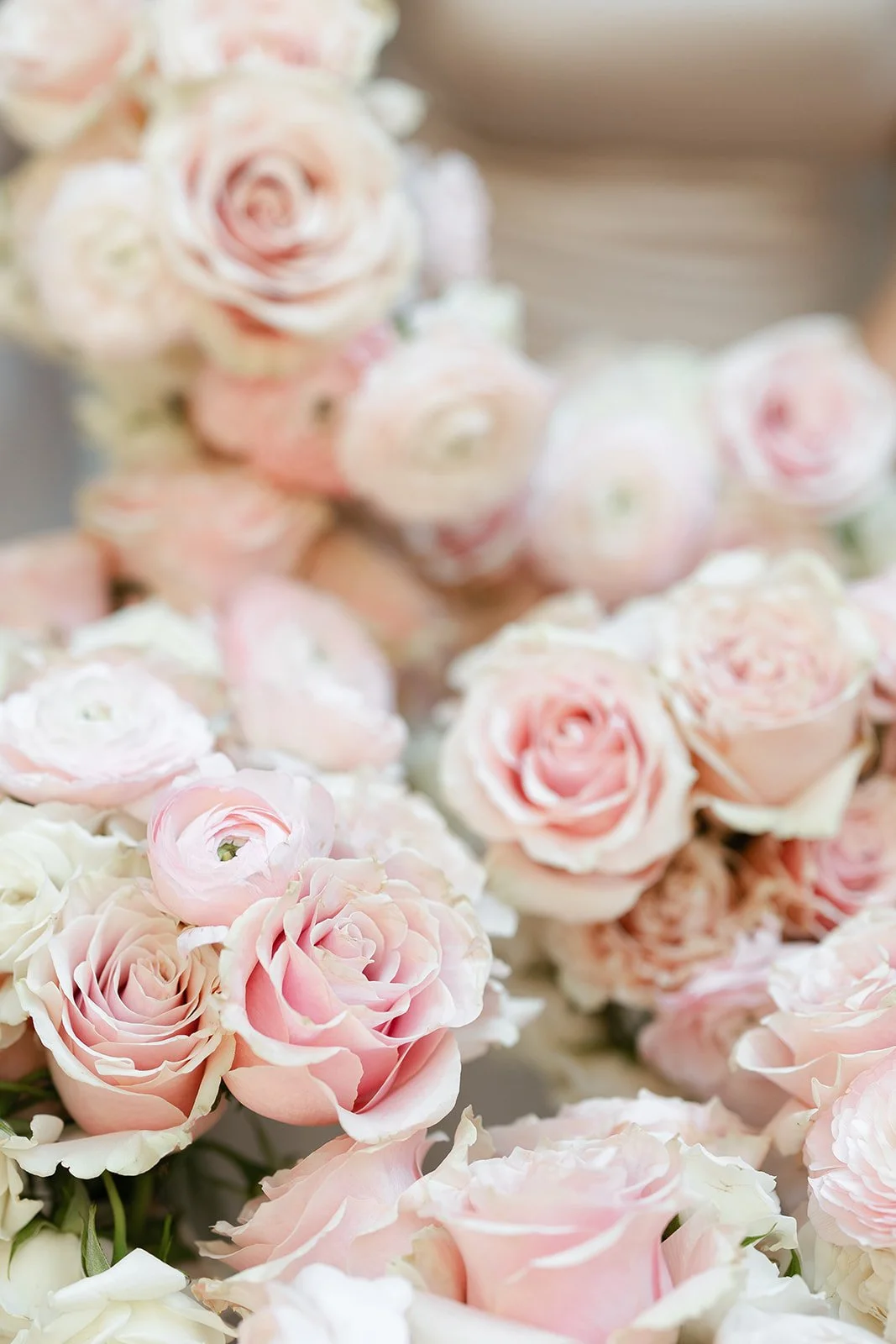 Stella Wedding Portraits-285_websize.jpg