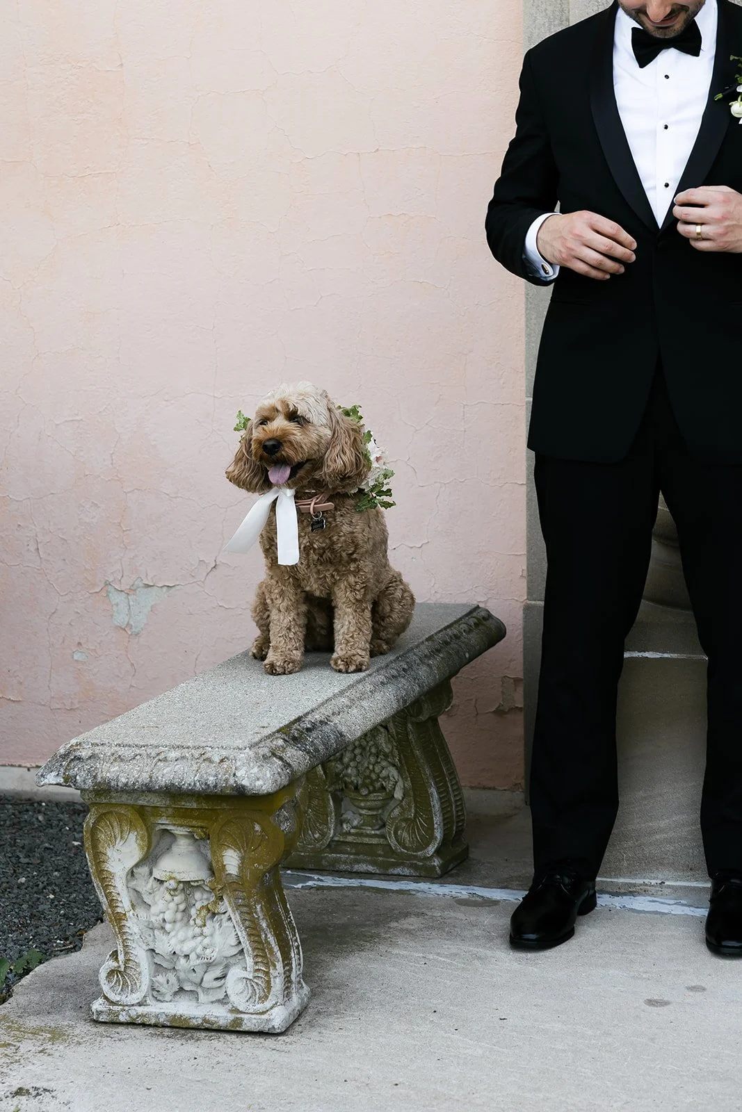 Stella Wedding Portraits-198_websize.jpg