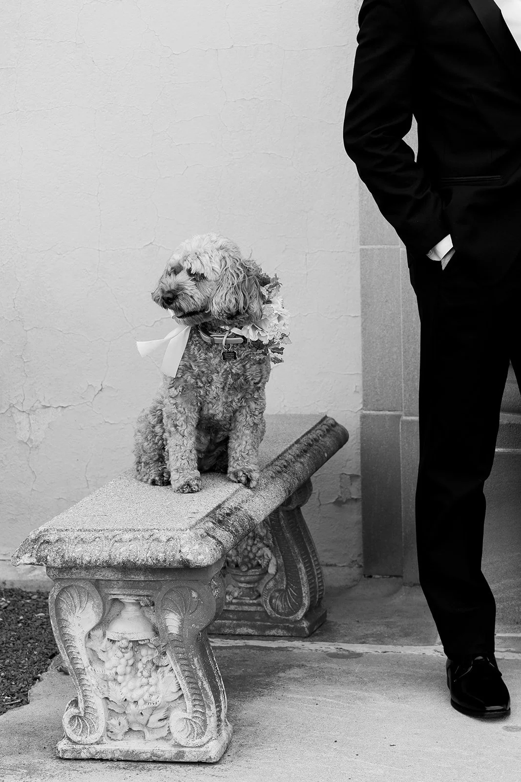 Stella Wedding Portraits-206_websize.jpg